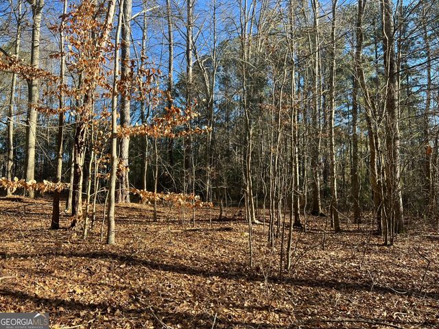 LOT 13 Harlan Lane Road, Villa Rica, GA 30180
