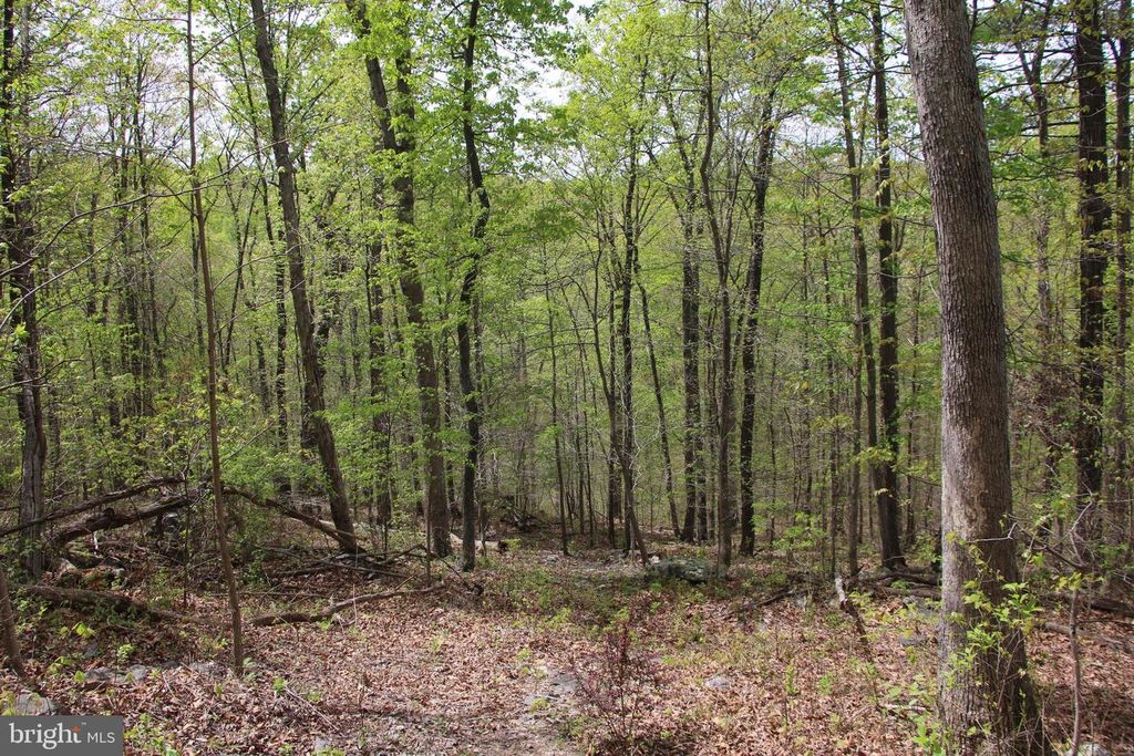 DRUMMER HILL RD, Front Royal, VA 22630