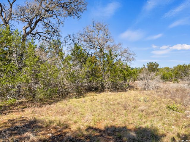 535 Left Fork Place, Spring Branch, TX 78070