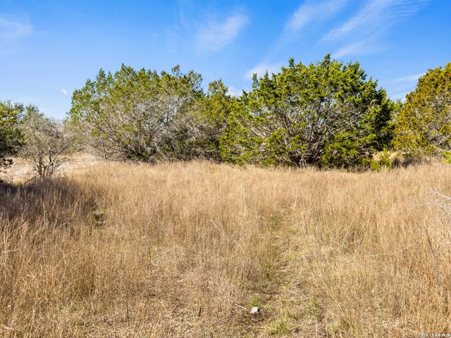 535 Left Fork Place, Spring Branch, TX 78070