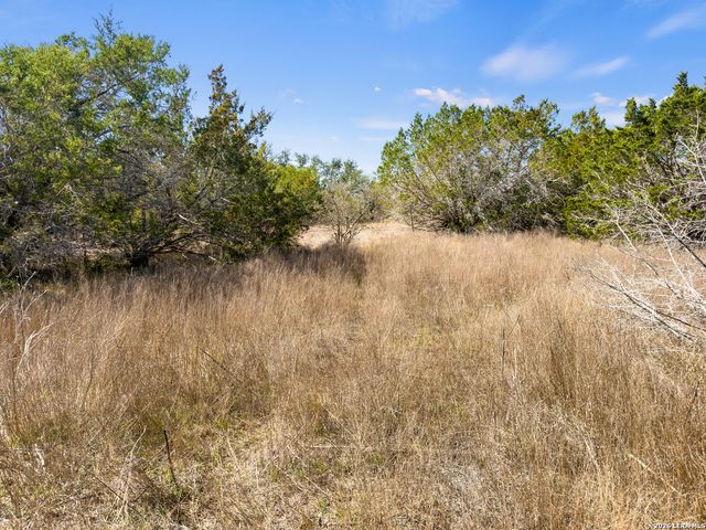 535 Left Fork Place, Spring Branch, TX 78070