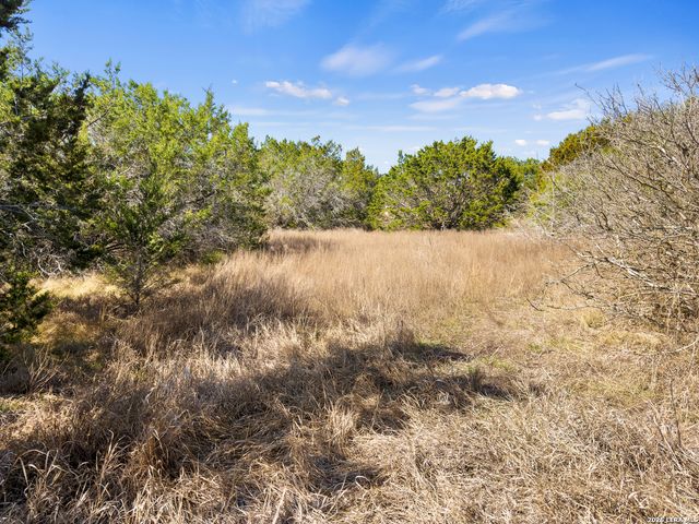 535 Left Fork Place, Spring Branch, TX 78070