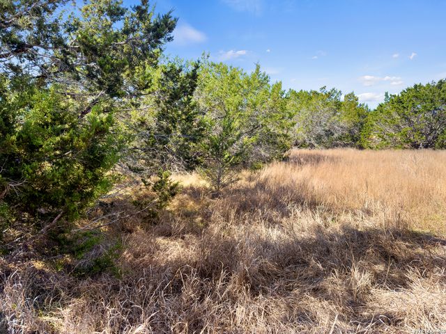 535 Left Fork Place, Spring Branch, TX 78070