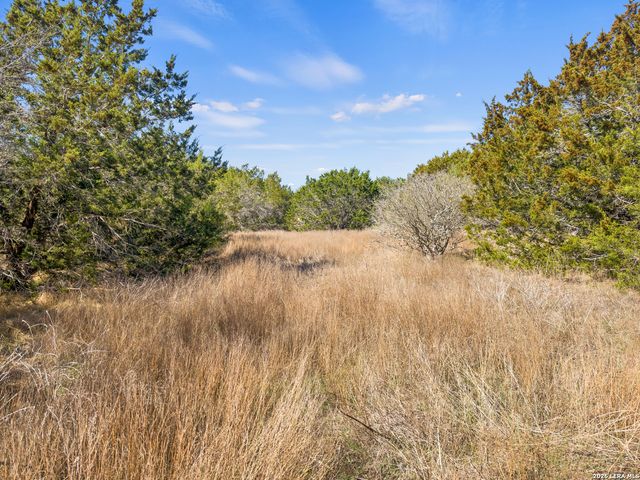 535 Left Fork Place, Spring Branch, TX 78070