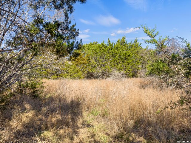 535 Left Fork Place, Spring Branch, TX 78070