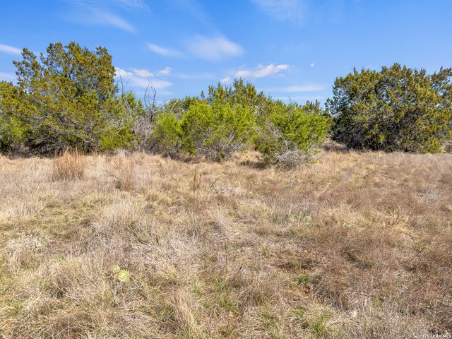 535 Left Fork Place, Spring Branch, TX 78070