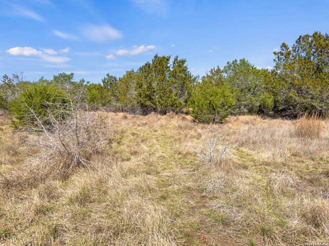 535 Left Fork Place, Spring Branch, TX 78070