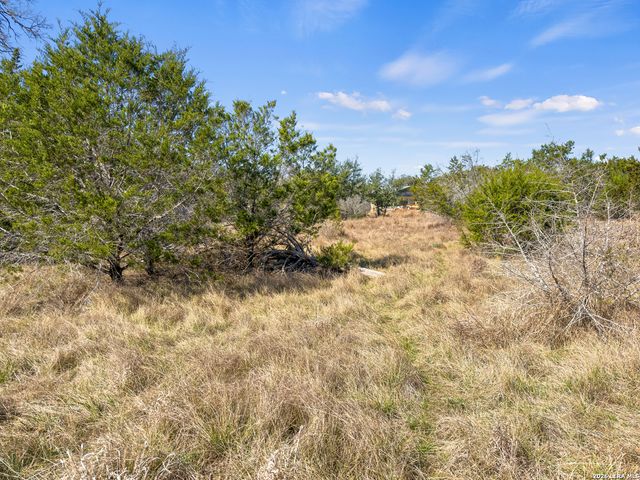535 Left Fork Place, Spring Branch, TX 78070