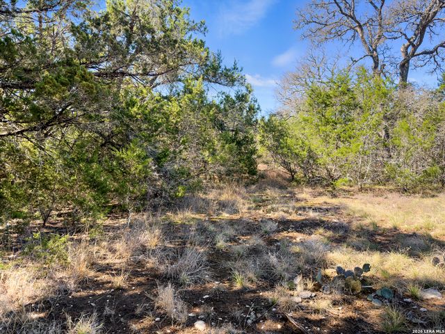 535 Left Fork Place, Spring Branch, TX 78070