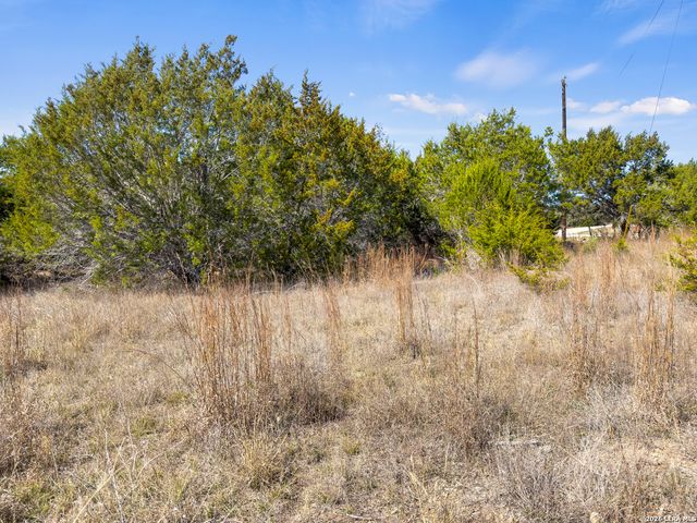 535 Left Fork Place, Spring Branch, TX 78070
