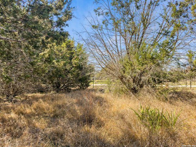 535 Left Fork Place, Spring Branch, TX 78070