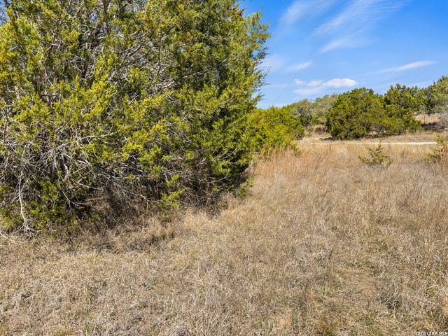 535 Left Fork Place, Spring Branch, TX 78070