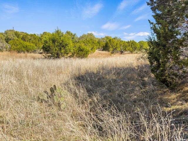 535 Left Fork Place, Spring Branch, TX 78070