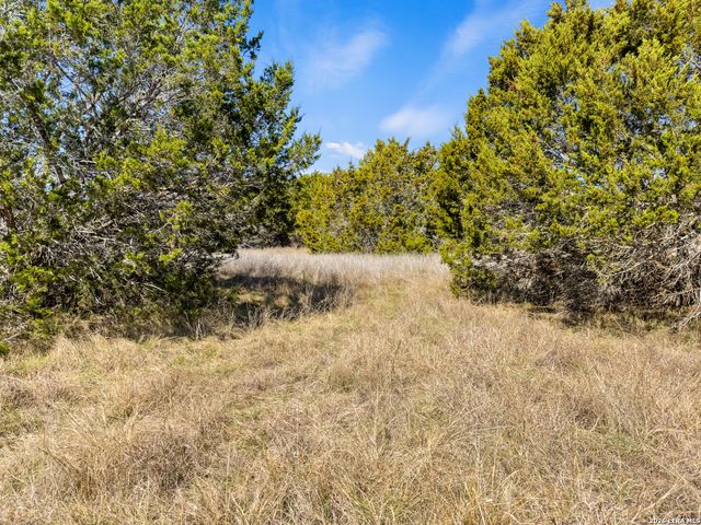 535 Left Fork Place, Spring Branch, TX 78070