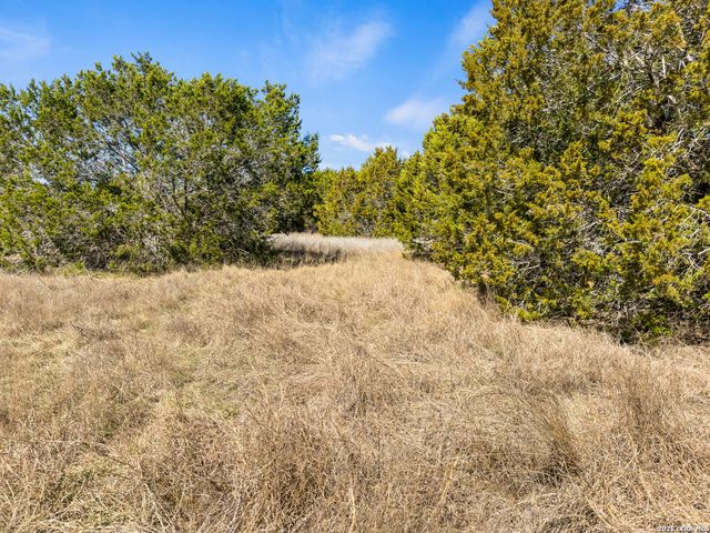 535 Left Fork Place, Spring Branch, TX 78070