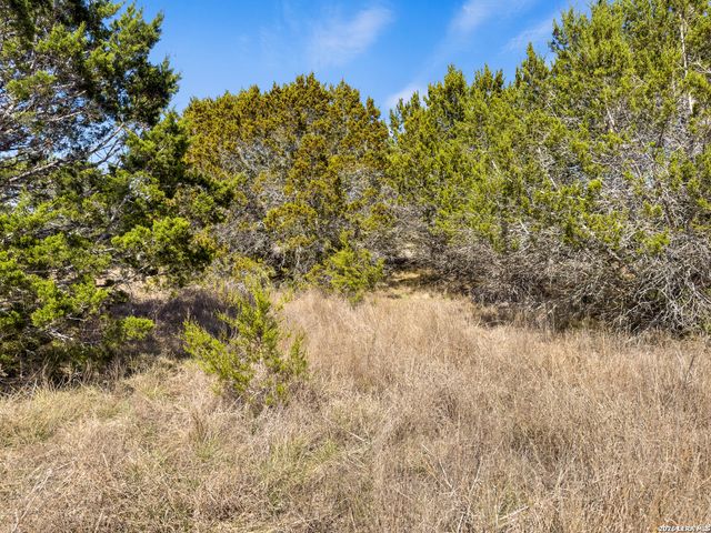 535 Left Fork Place, Spring Branch, TX 78070