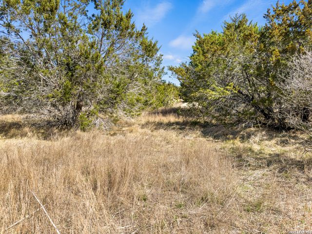 535 Left Fork Place, Spring Branch, TX 78070