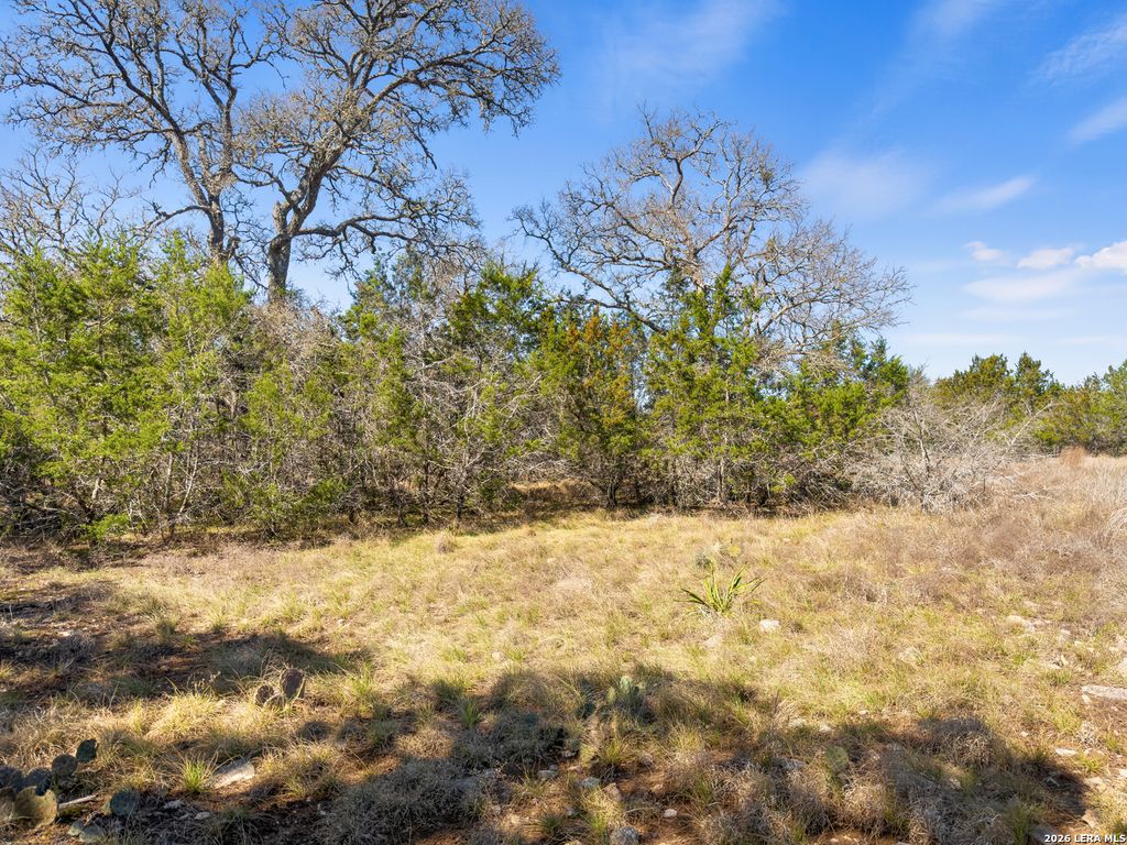 535 Left Fork Place, Spring Branch, TX 78070