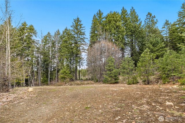 33 Lakeside Court, Ronald, WA 98940