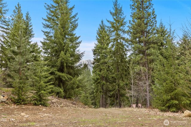 33 Lakeside Court, Ronald, WA 98940