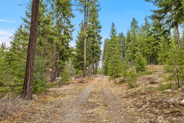 33 Lakeside Court, Ronald, WA 98940