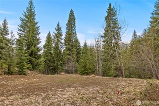 33 Lakeside Court, Ronald, WA 98940