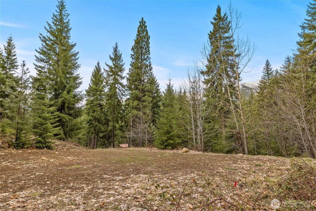 33 Lakeside Court, Ronald, WA 98940