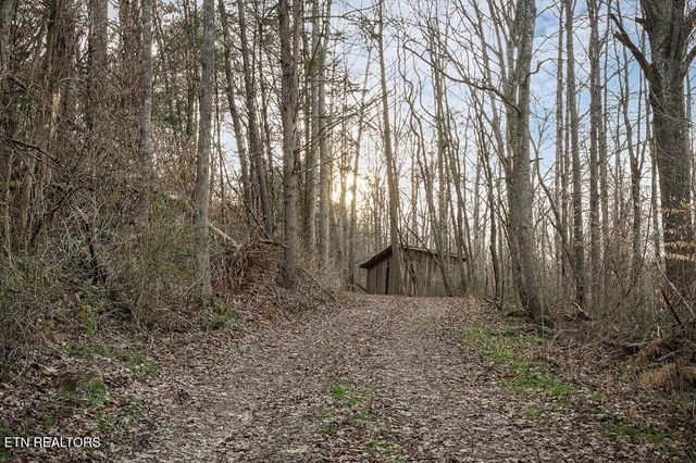 0 Buffalo Cove Lane, Jamestown, TN 38556