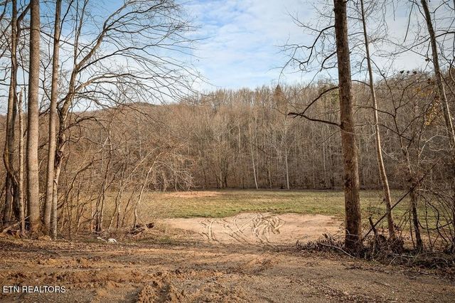 0 Buffalo Cove Lane, Jamestown, TN 38556