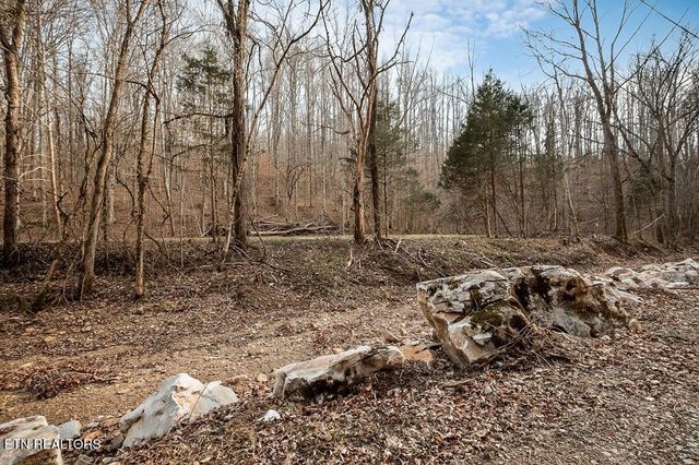 0 Buffalo Cove Lane, Jamestown, TN 38556