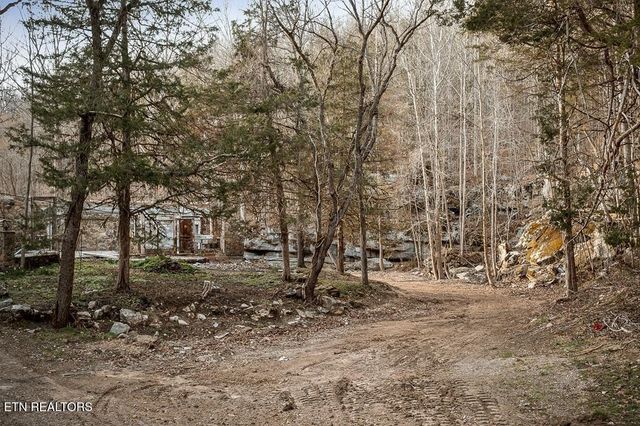 0 Buffalo Cove Lane, Jamestown, TN 38556