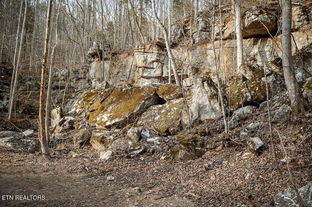 0 Buffalo Cove Lane, Jamestown, TN 38556