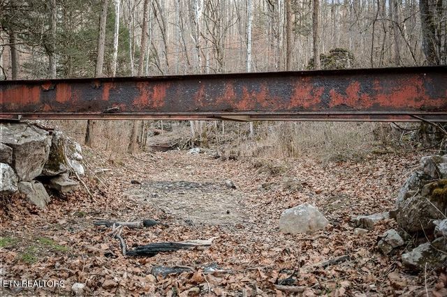 0 Buffalo Cove Lane, Jamestown, TN 38556