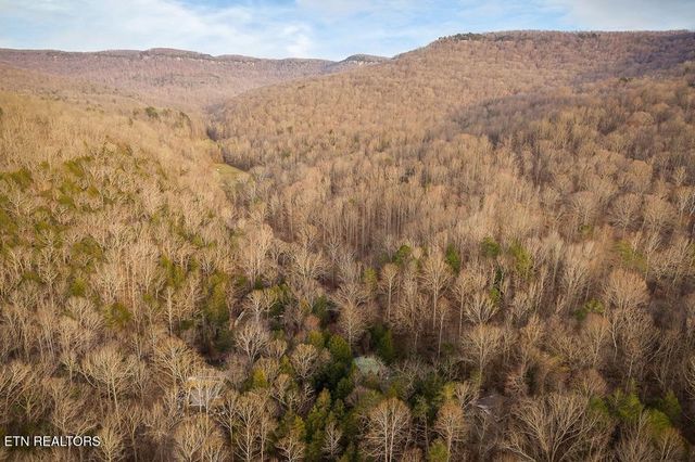 0 Buffalo Cove Lane, Jamestown, TN 38556