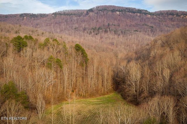 0 Buffalo Cove Lane, Jamestown, TN 38556