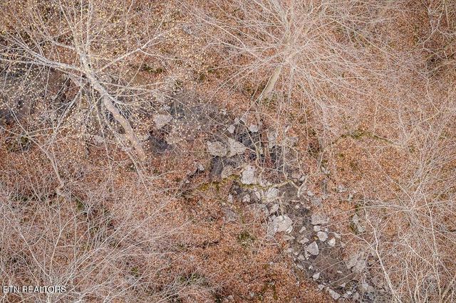 0 Buffalo Cove Lane, Jamestown, TN 38556