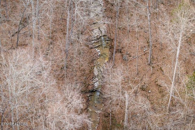 0 Buffalo Cove Lane, Jamestown, TN 38556