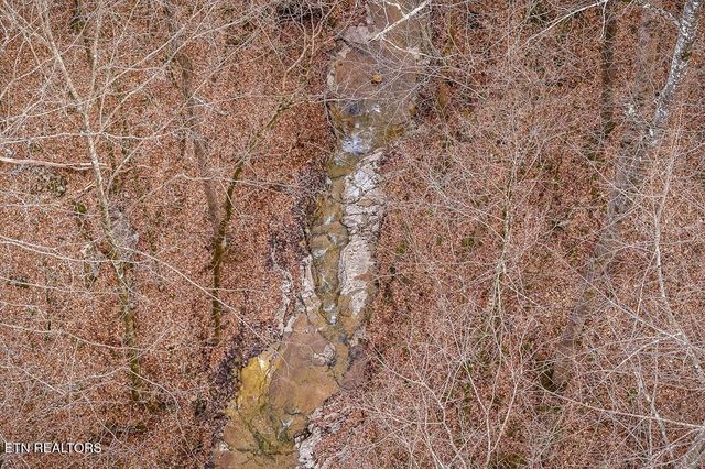 0 Buffalo Cove Lane, Jamestown, TN 38556