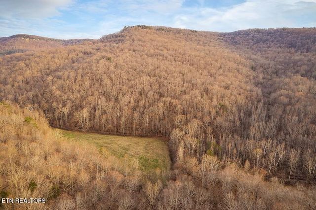 0 Buffalo Cove Lane, Jamestown, TN 38556