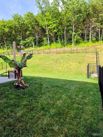5024 Knotty Alder Drive, Imperial, MO 63052