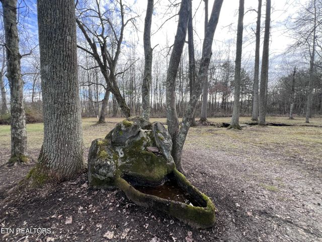 1028 Kennedy Rd, Jamestown, TN 38556