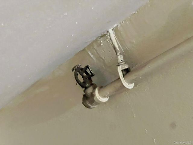 4 Brevoort Place, Brooklyn, NY 11216