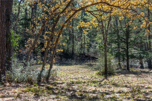 10845 Deer Ridge Road, Bedias, TX 77831