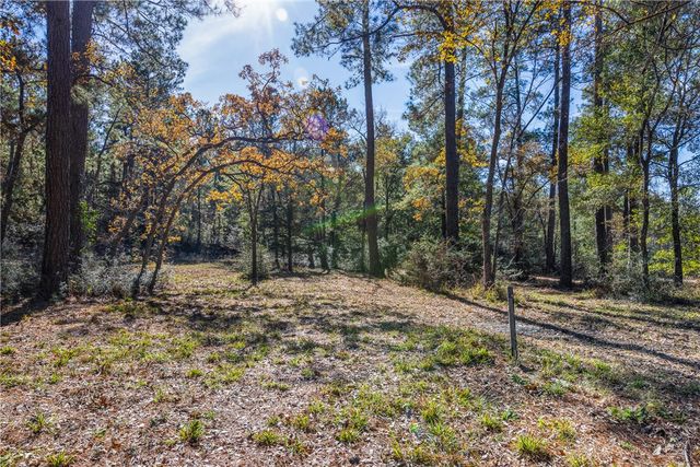 10845 Deer Ridge Road, Bedias, TX 77831