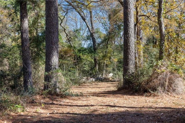 10845 Deer Ridge Road, Bedias, TX 77831