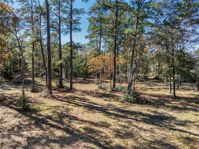 10845 Deer Ridge Road, Bedias, TX 77831