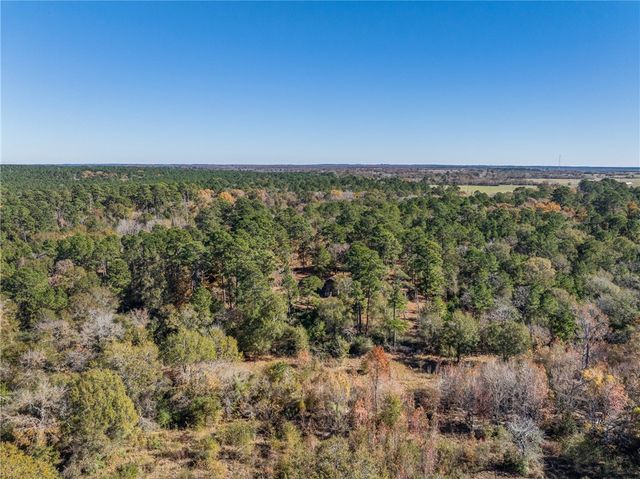 10845 Deer Ridge Road, Bedias, TX 77831