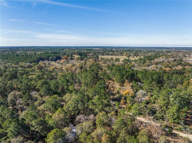 10845 Deer Ridge Road, Bedias, TX 77831