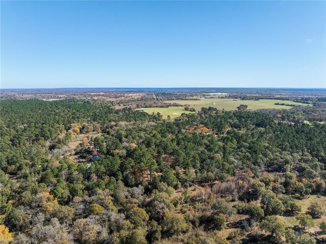 10845 Deer Ridge Road, Bedias, TX 77831