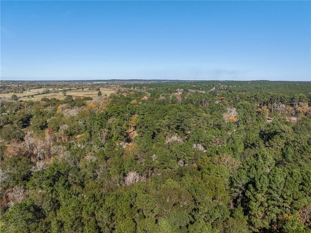 10845 Deer Ridge Road, Bedias, TX 77831